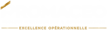 Promaceo — Project Management & Construction